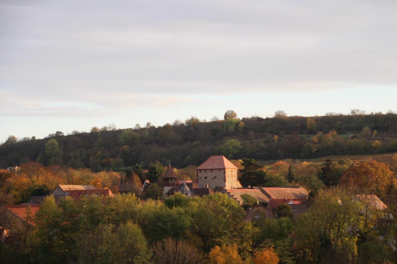 Ferienwohnung Im Schoenen Zellertal Wachenheim an der Weinstraße Εξωτερικό φωτογραφία