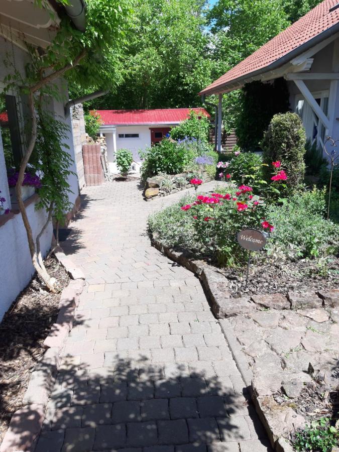Ferienwohnung Im Schoenen Zellertal Wachenheim an der Weinstraße Εξωτερικό φωτογραφία