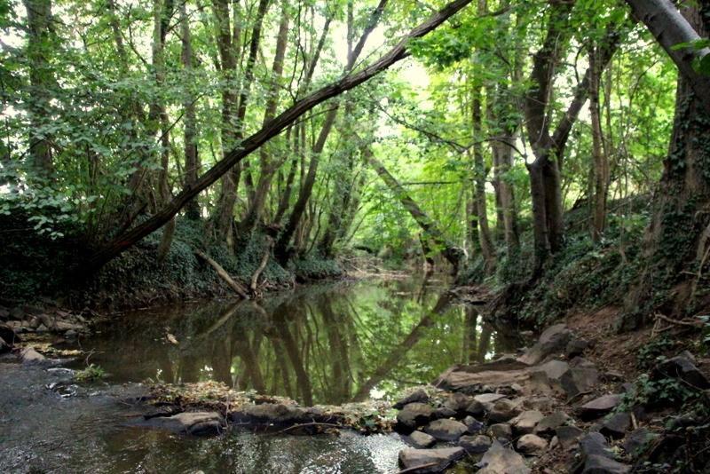 Ferienwohnung Im Schoenen Zellertal Wachenheim an der Weinstraße Εξωτερικό φωτογραφία